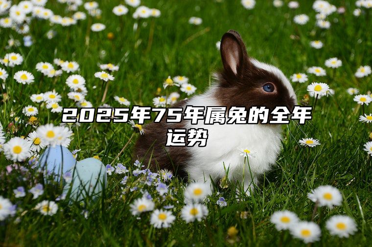 2025年75年属兔的全年运势 1975年2025年的运气