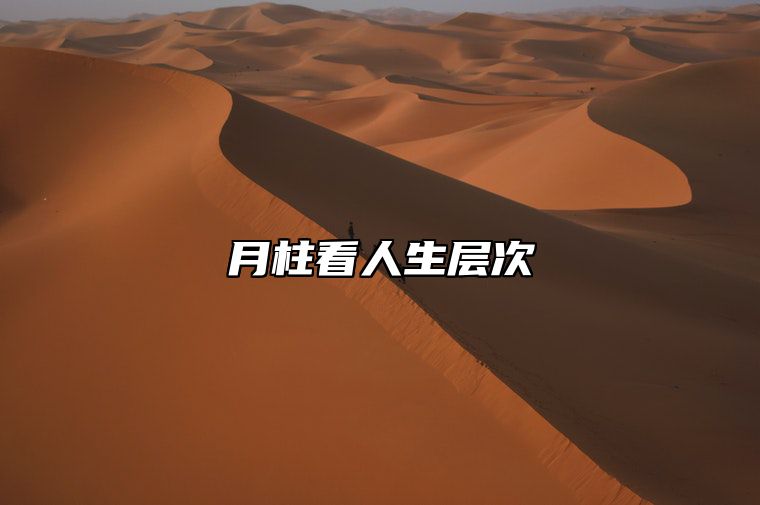 月柱看人生层次 月柱可以看出什么