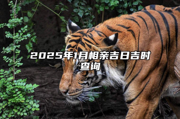 2025年1月相亲吉日吉时查询 适合相亲吗？