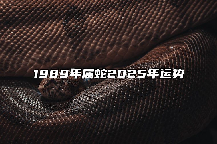 1989年属蛇2025年运势 