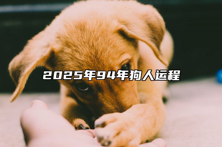 2025年94年狗人运程 94年狗2024年运势