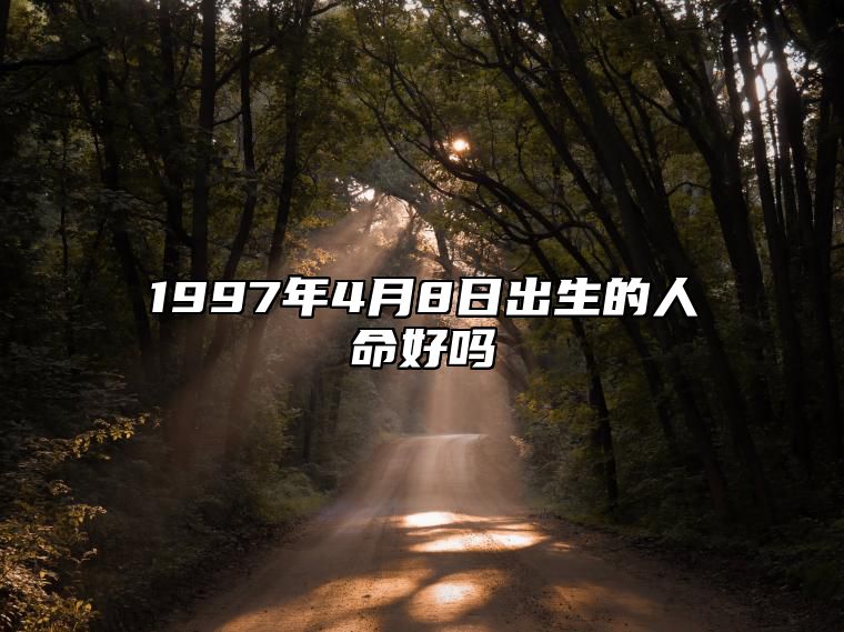 1997年4月8日出生的人命好吗 生辰八字运势、婚姻、事业分析