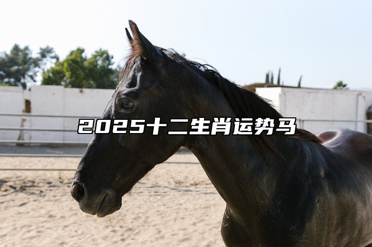 2025十二生肖运势马 2025属马运势