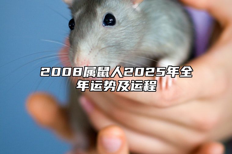 2008属鼠人2025年全年运势及运程