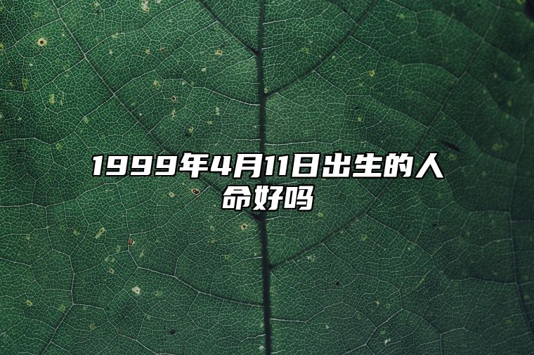 1999年4月11日出生的人命好吗 五行缺什么