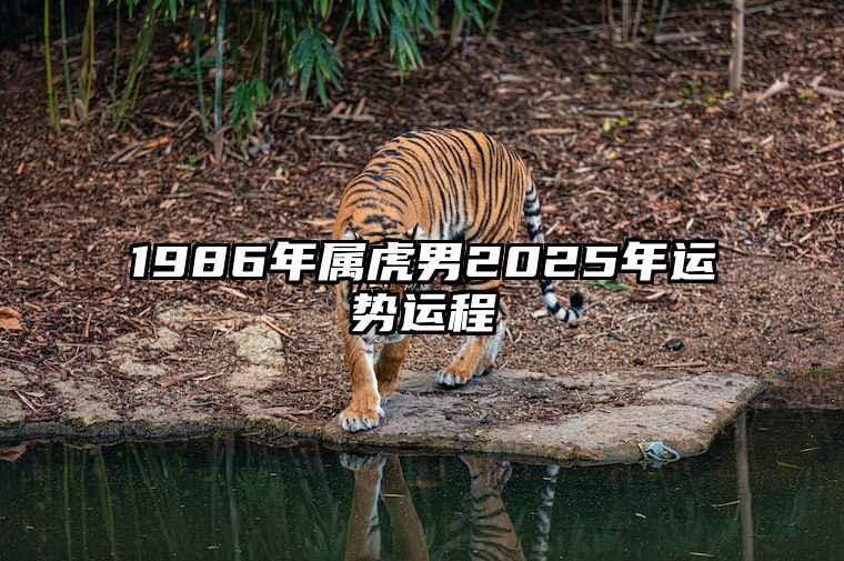 1986年属虎男2025年运势运程 1986年属虎男2023年运势及运程