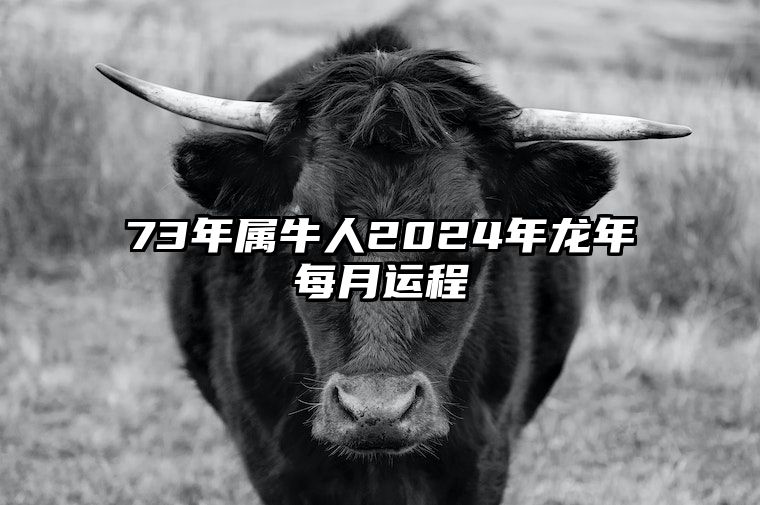 73年属牛人2024年龙年每月运程