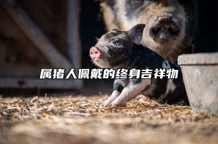 属猪人佩戴的终身吉祥物 属猪脖子上戴什么好