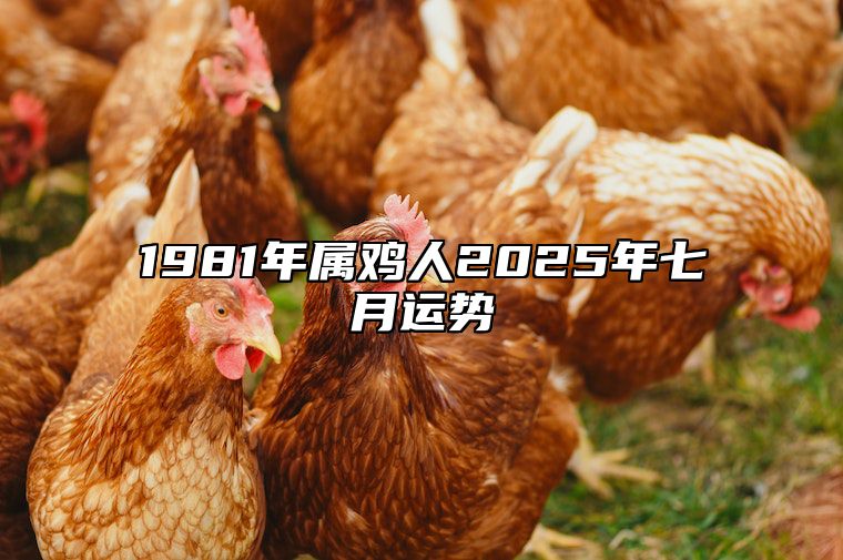 1981年属鸡人2025年七月运势 1981年属鸡2023到2024运势