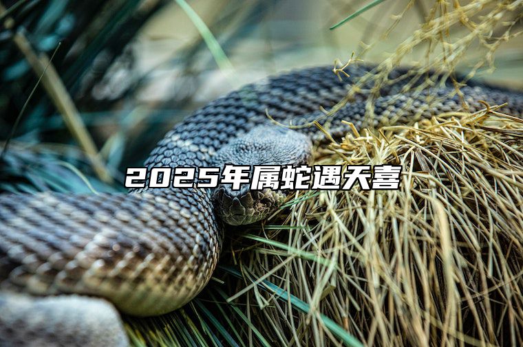 2025年属蛇遇天喜 属蛇36岁开始走大运