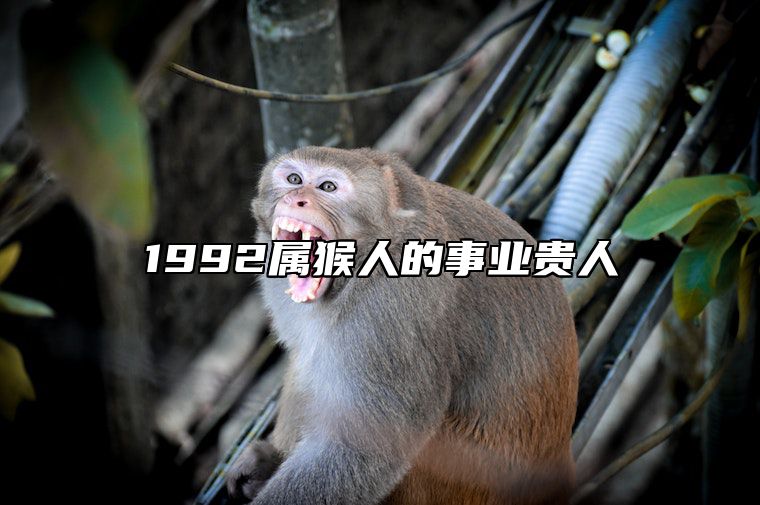 1992属猴人的事业贵人 属猴人适合做什么生意赚钱