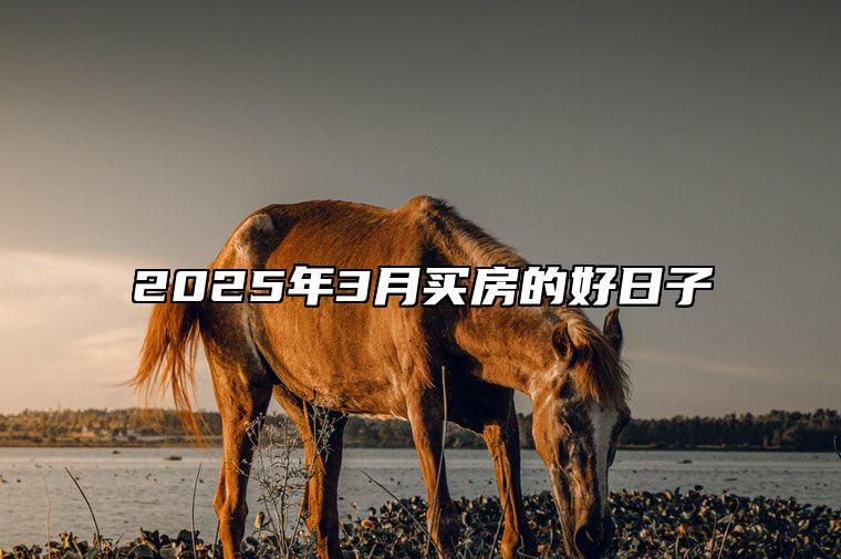 2025年3月买房的好日子 哪一天是买房的好日子