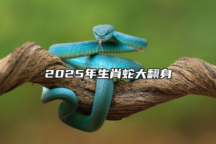 2025年生肖蛇大翻身 2025年最顺利的4大属相