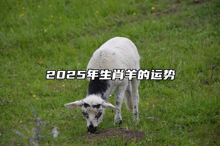 2025年生肖羊的运势 2025年生肖羊的运势星座屋