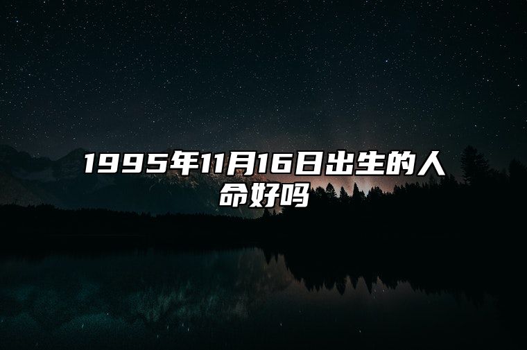 1995年11月16日出生的人命好吗 此日生辰八字详解