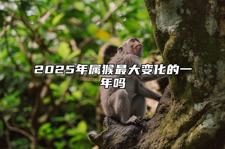 2025年属猴最大变化的一年吗 2025年属猴的多大年龄