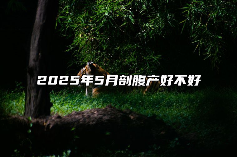 2025年5月剖腹产好不好 是剖腹产的吉日吗？