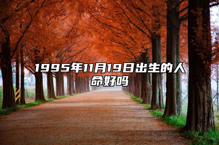 1995年11月19日出生的人命好吗 是什么命