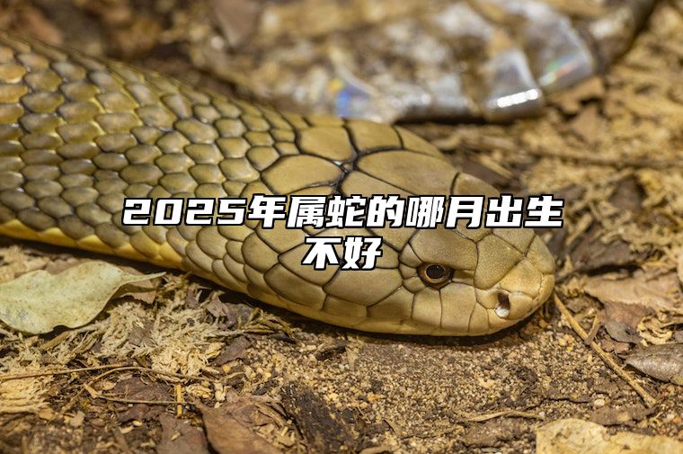 2025年属蛇的哪月出生不好 2025年属蛇男几月出生好