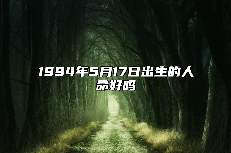 1994年5月17日出生的人命好吗 是什么命