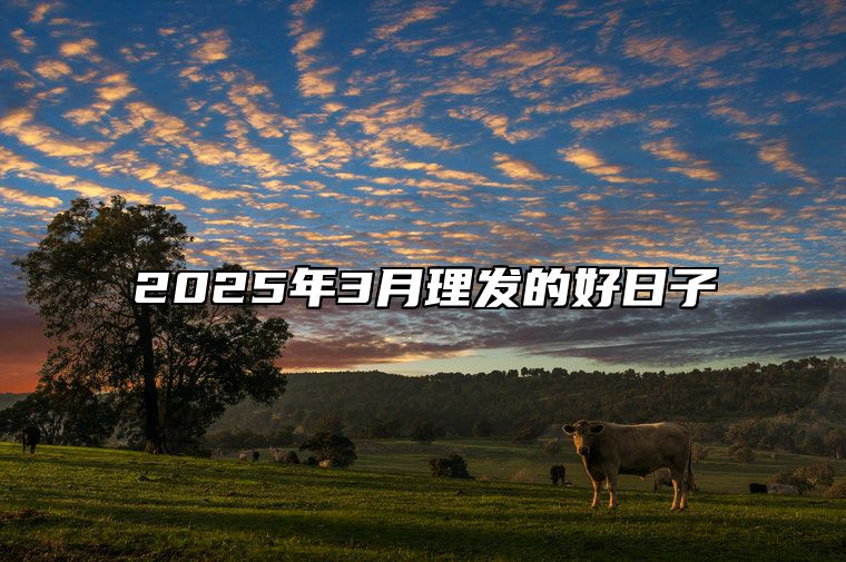 2025年3月理发的好日子 哪一天是理发的好日子