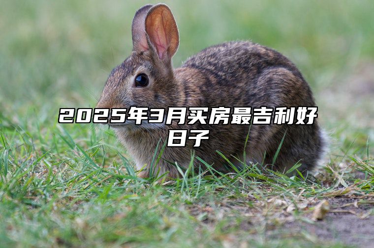 2025年3月买房最吉利好日子 适合买房吗？