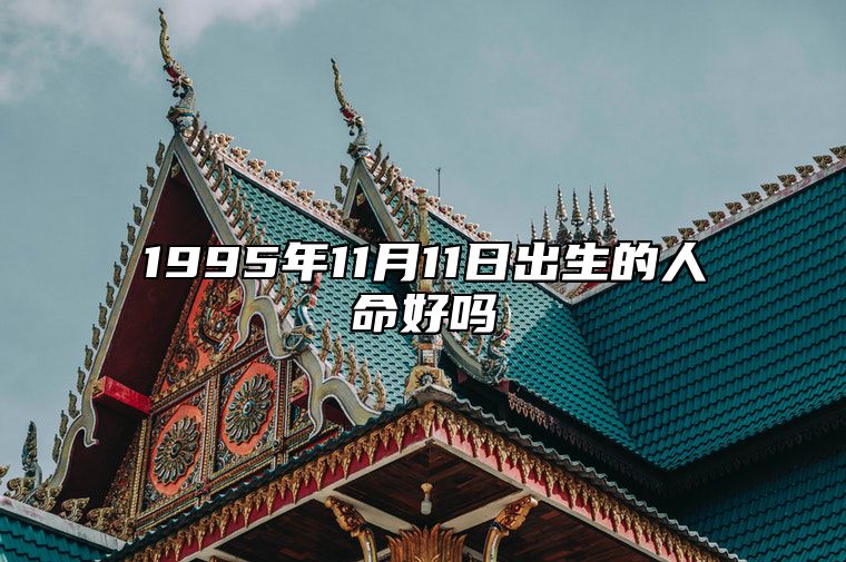 1995年11月11日出生的人命好吗 八字运势、婚姻、事业详解