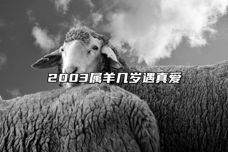 2003属羊几岁遇真爱 2003属羊几岁遇真爱3月22出生命运好不好