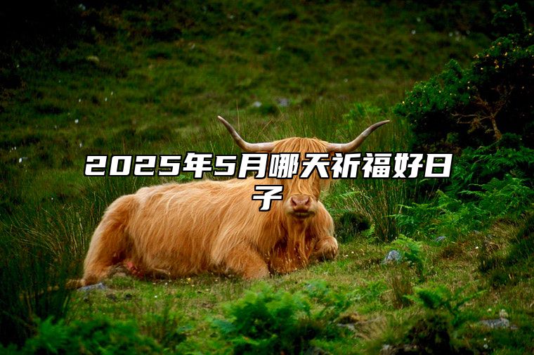 2025年5月哪天祈福好日子 适合祈福吗？