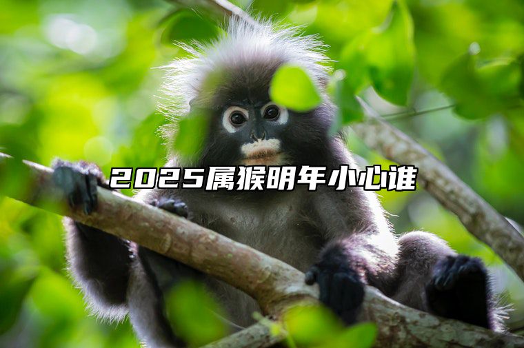 2025属猴明年小心谁 2025年属猴人的全年运势如何