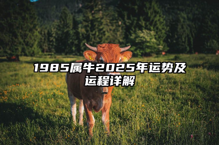 1985属牛2025年运势及运程详解 1985年属牛未来十年运势