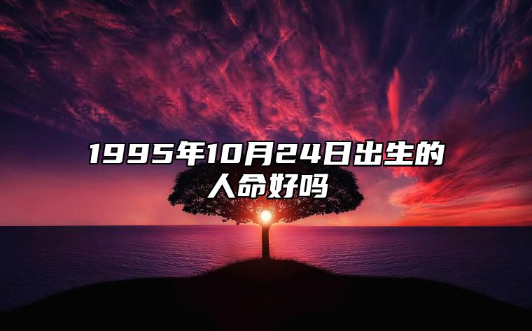 1995年10月24日出生的人命好吗 此日不同时辰八字运势分析