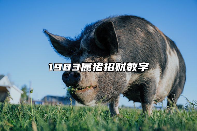 1983属猪招财数字 1983属猪招财数字2023年