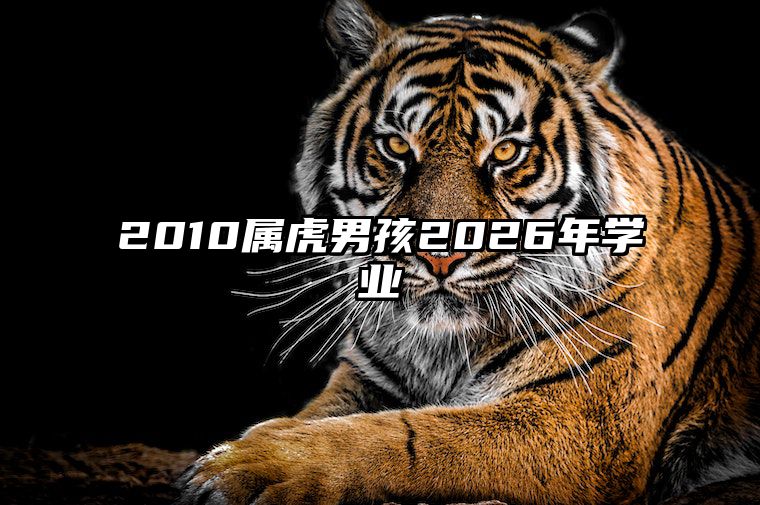 2010属虎男孩2026年学业 2010出生属虎男一生学业