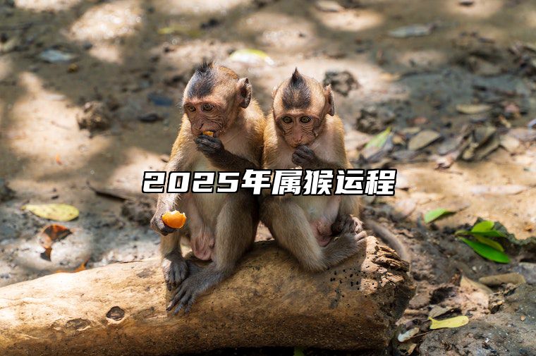 2025年属猴运程 2025属猴运程完整版