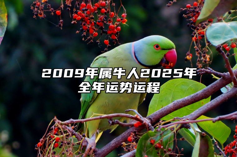 2009年属牛人2025年全年运势运程 09年属牛人2025年每月运势详解