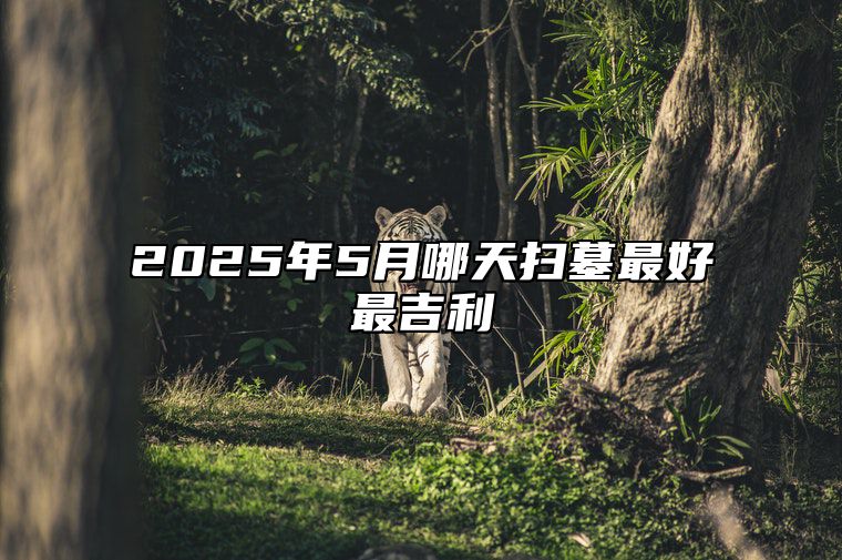 2025年5月哪天扫墓最好最吉利 哪一天扫墓吉利