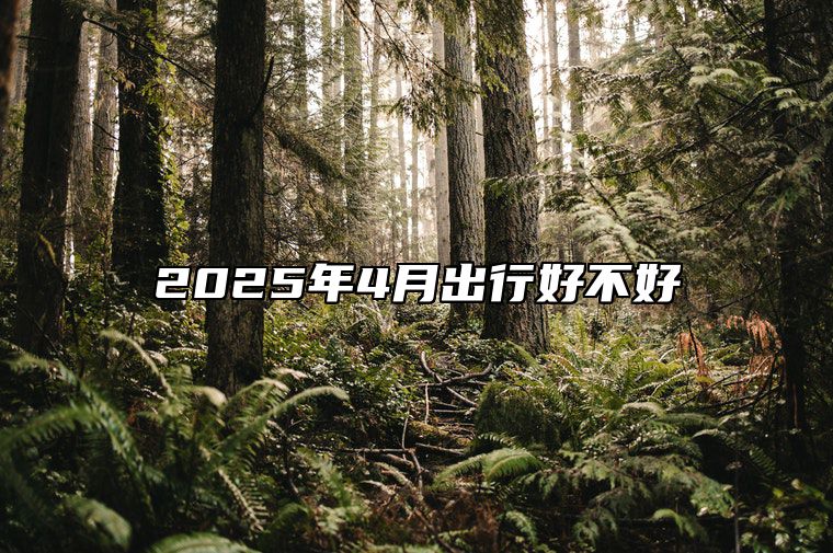 2025年4月出行好不好 今日出行黄历查询详解