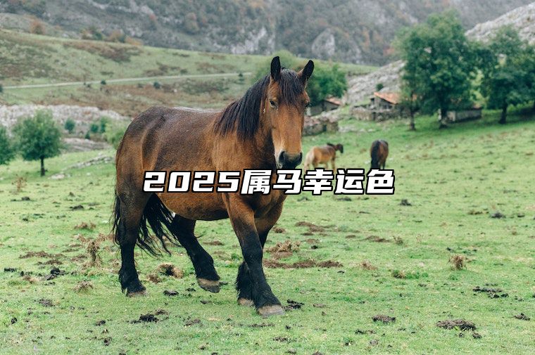 2025属马幸运色 2025属马人运势