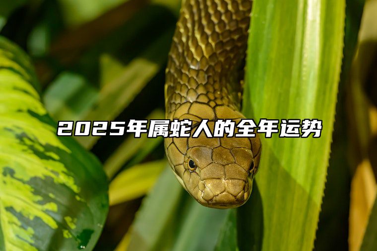 2025年属蛇人的全年运势 2025年属蛇人的全年运势2001年出生