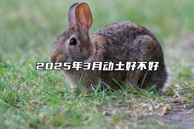 2025年3月动土好不好 是动土的吉日吗？