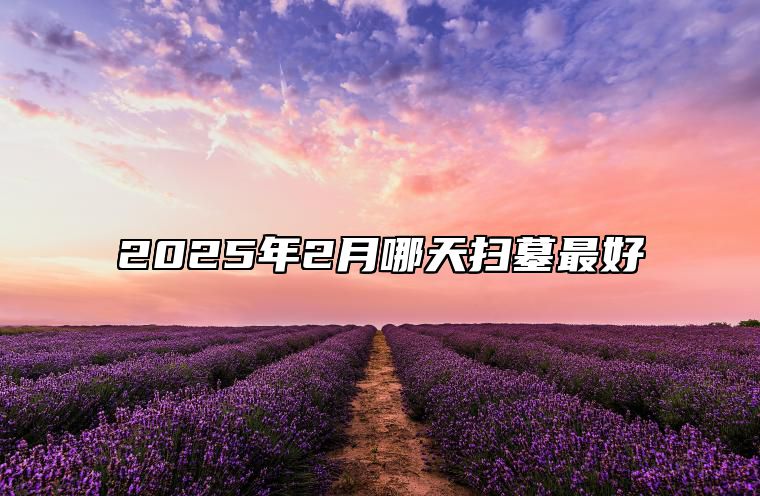 2025年2月哪天扫墓最好 今日扫墓黄历查询详解