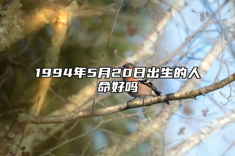 1994年5月20日出生的人命好吗 今日生辰八字运势详解