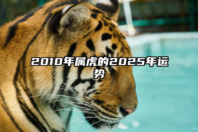 2010年属虎的2025年运势 2010属虎人2021年全年运势