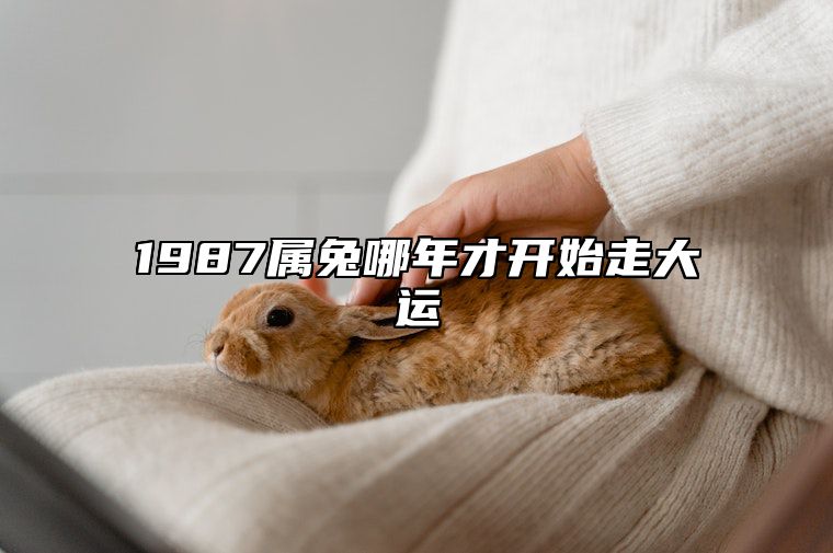 1987属兔哪年才开始走大运 1987年属兔哪一年行大运