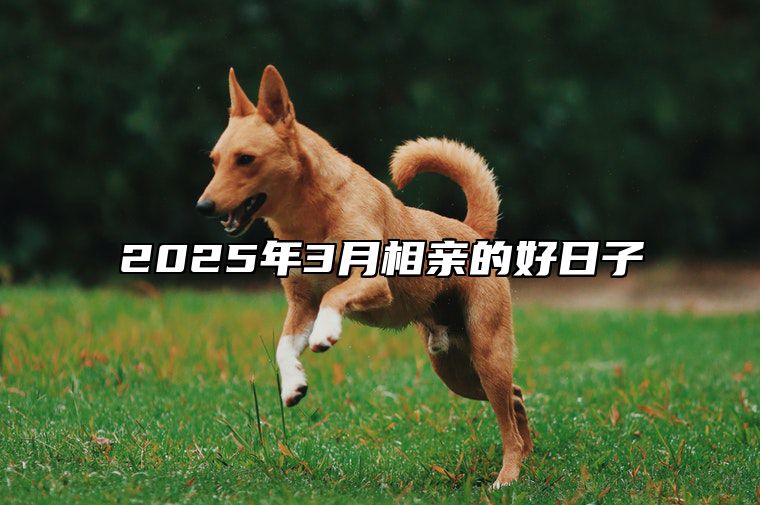 2025年3月相亲的好日子 相亲吉日查询