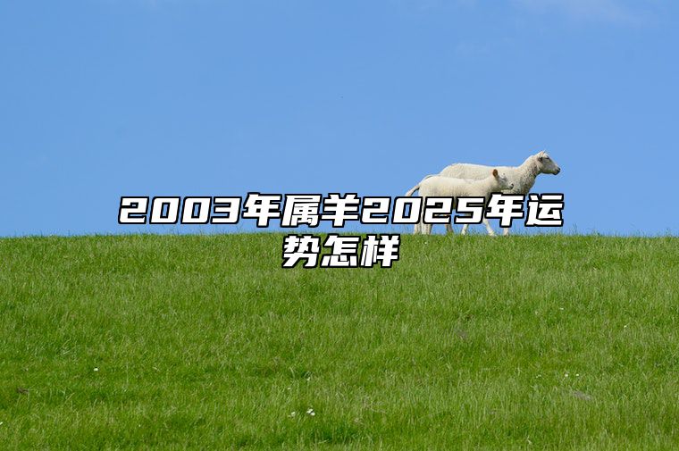 2003年属羊2025年运势怎样 2003年的羊明年运势如何