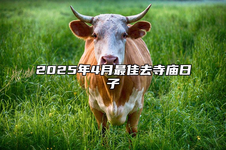 2025年4月最佳去寺庙日子 适合去寺庙吗？