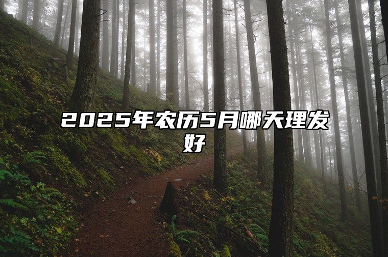 2025年农历5月哪天理发好 哪一天理发吉利