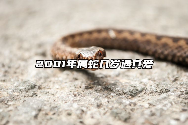 2001年属蛇几岁遇真爱 2001年属蛇的多大岁结婚